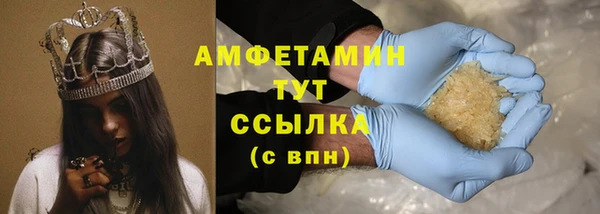гидра Белокуриха