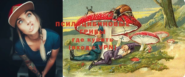 дживик Белоозёрский