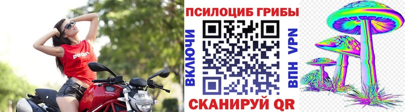 Галлюциногенные грибы Cubensis  Козельск 
